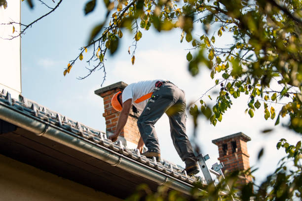 Best Roof Gutter Cleaning  in Jackson, AL