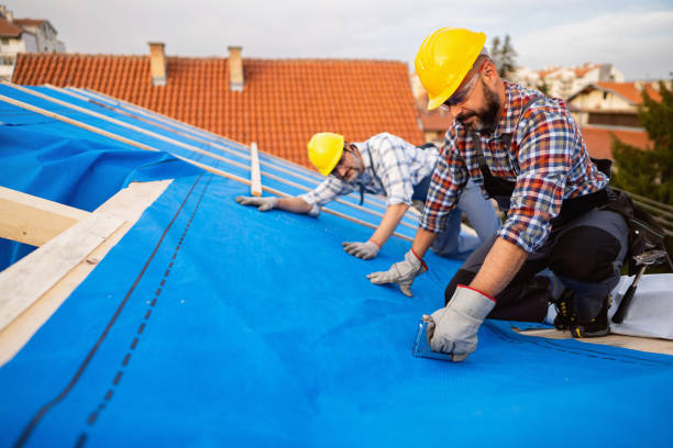 Best Gutter Installation and Roofing  in Jackson, AL