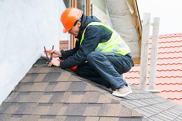 Best Gutter Installation and Roofing  in Jackson, AL