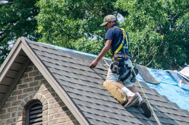 Quick and Trustworthy Emergency Roof Repair Services in Jackson, AL